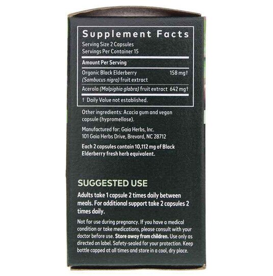 Black Elderberry, GH